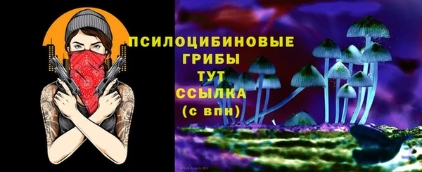 spice Баксан